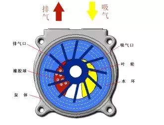 水泵的基础知识