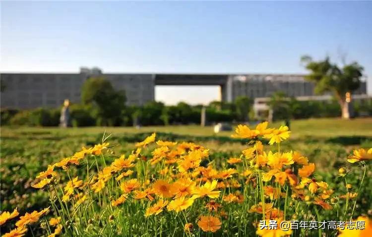 大学也有“外号”？看哪所大学能凭借“绰号”笑傲江湖