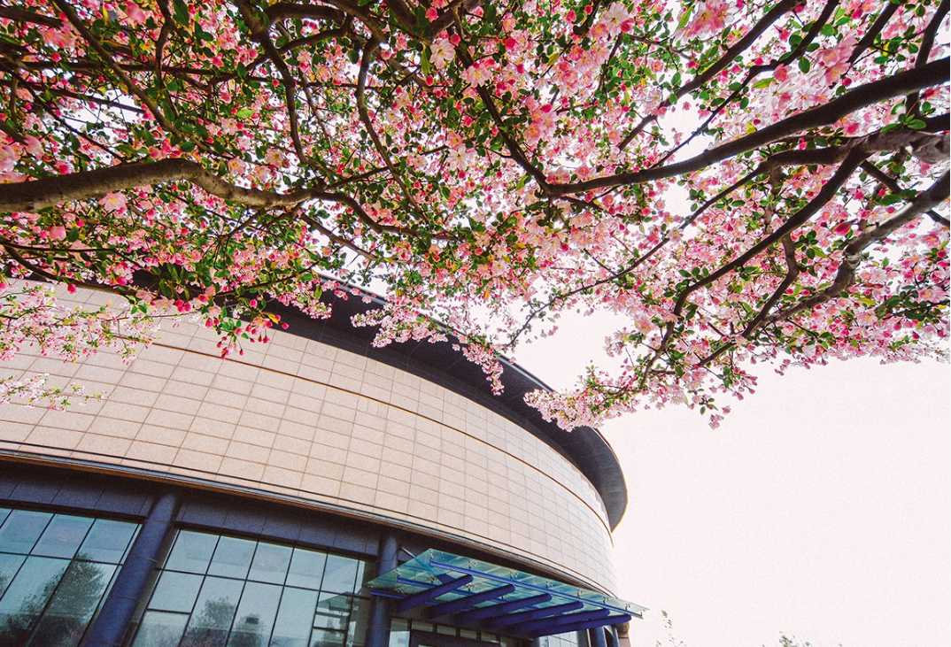 高考分数只够二本，可以考虑这3所独立学院，都拥有985师资