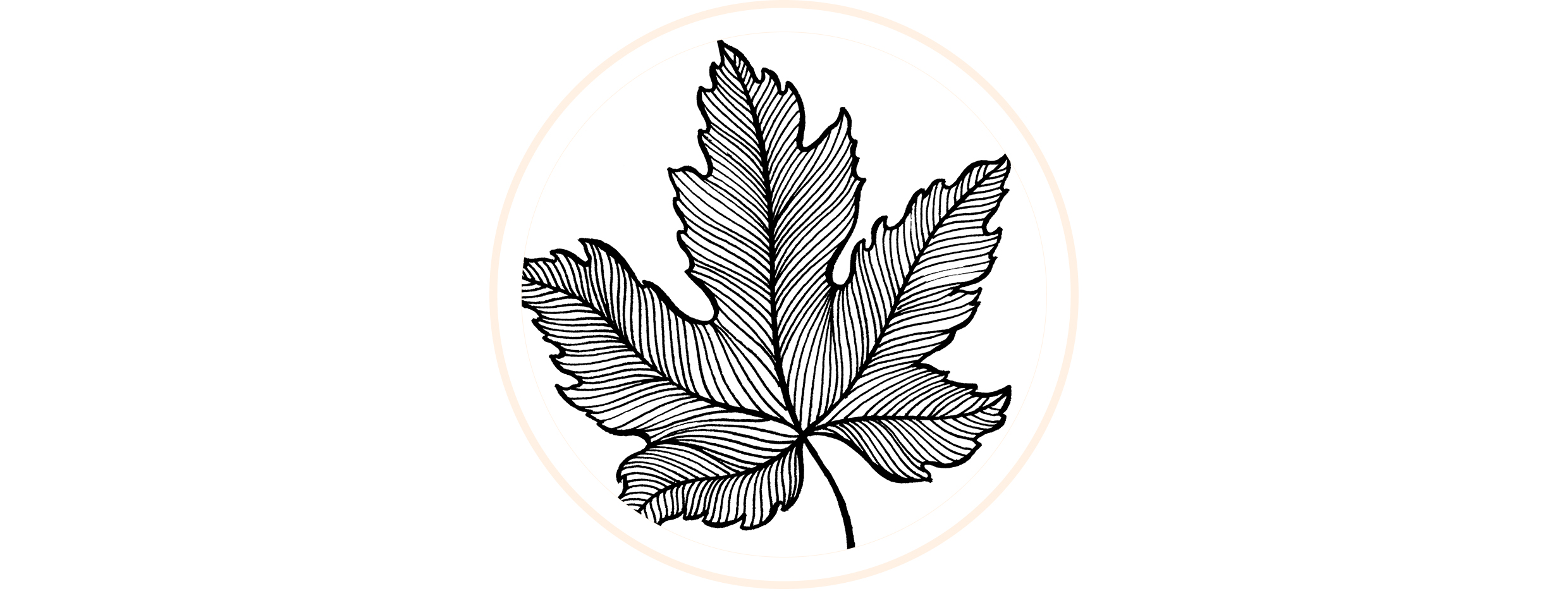 9款简笔画叶子,手残党福利,一支笔就可以画