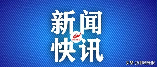 聊城中石油今日價格（聊城今日豬價）