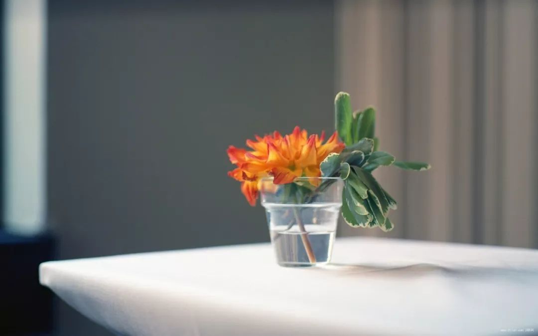 全国最佳成人作文：《喝酒》