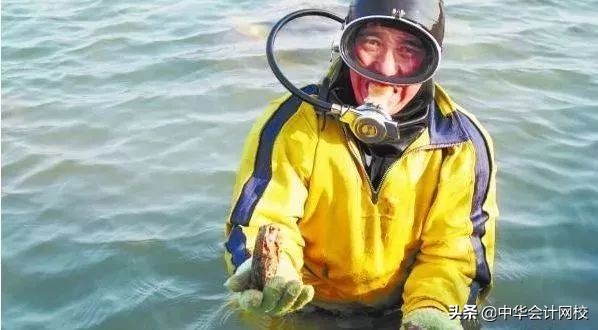 德勤审计现场简直太太太太太太太秀了！