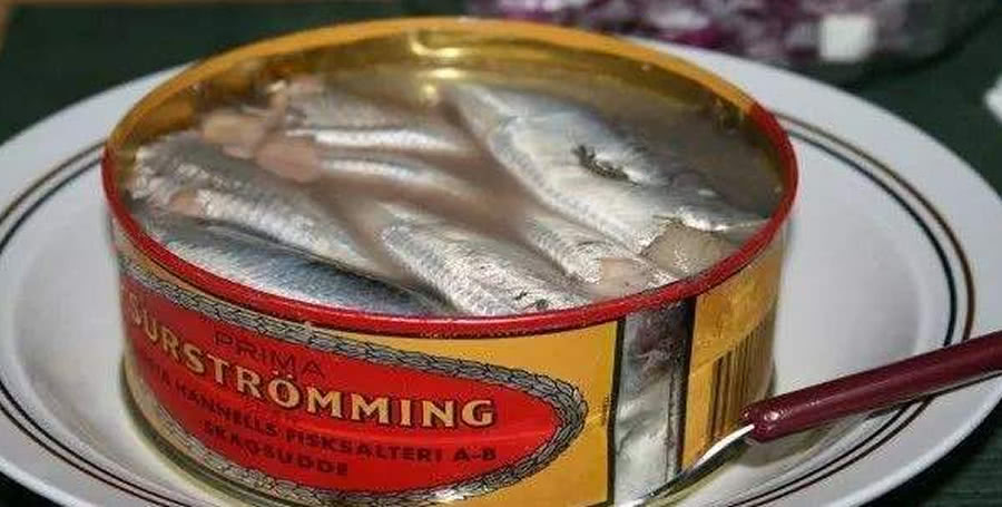 被称为餐桌上的生化武器，鲱鱼罐头到底有多臭？