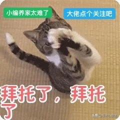 精致优雅的白领丽人专属座驾：奔驰GLA200 4MATIC