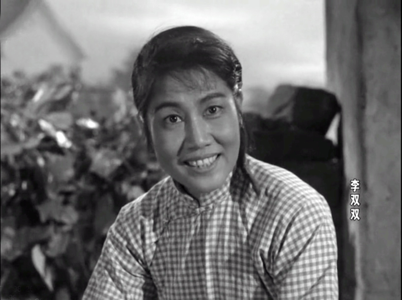 万紫千红总是春电影剧情「简介」