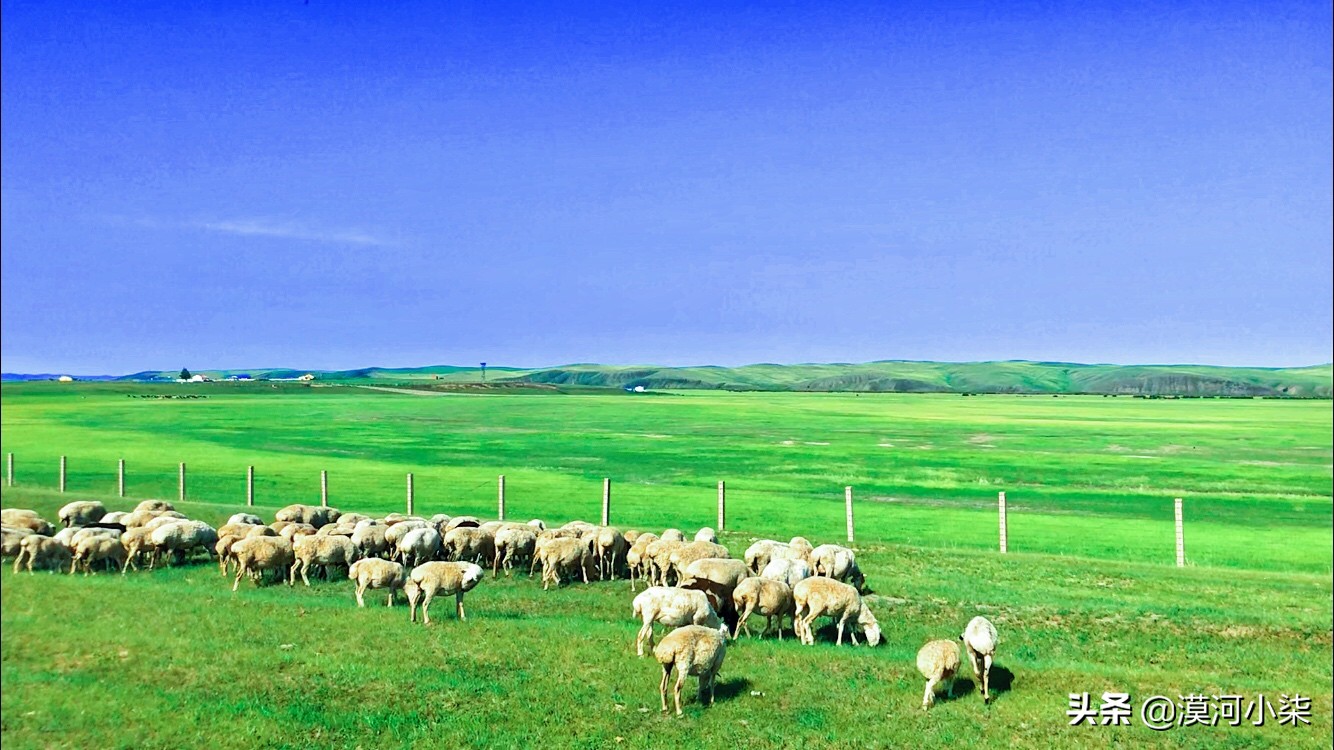 2019夏季避暑好地方，带上这份呼伦贝尔旅行攻略去大草原，纯干货