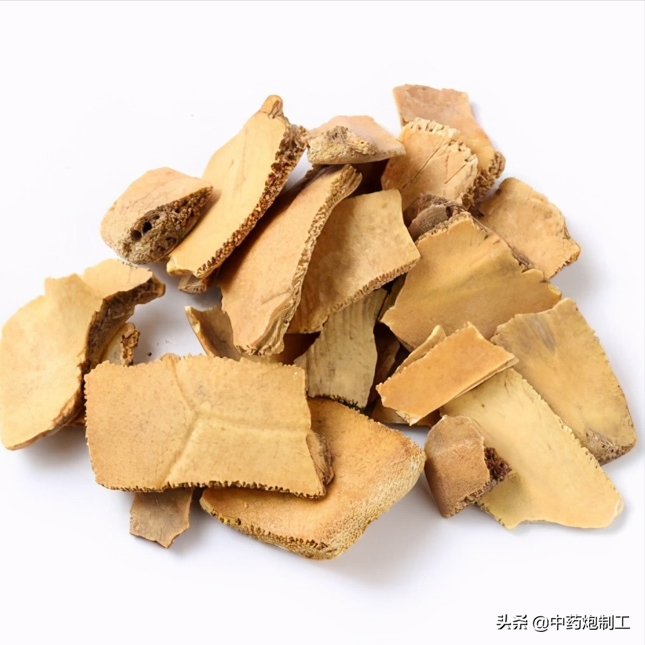 烫骨碎补是什么东西（中草药的烫法教程分享）