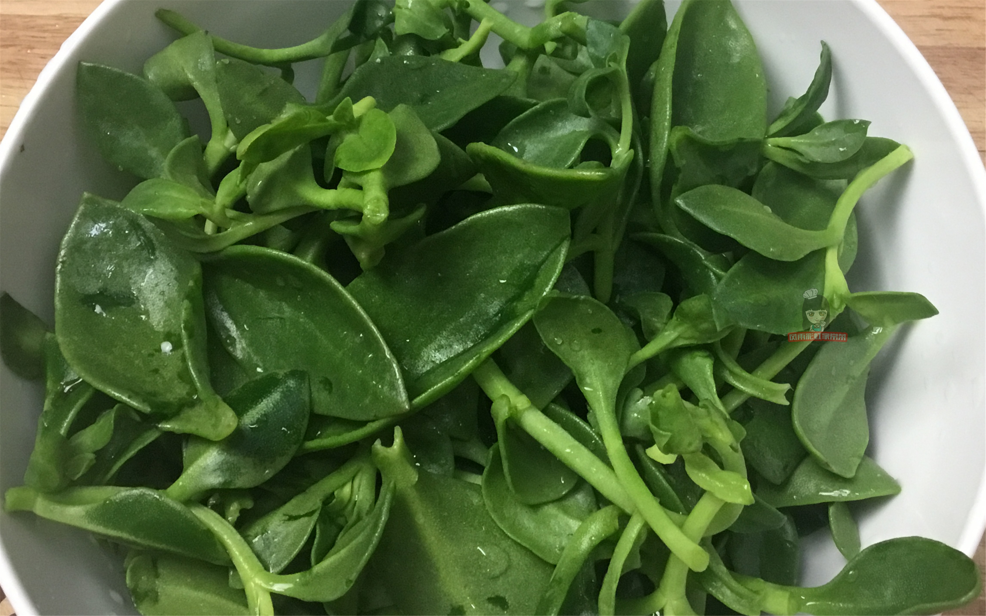 穿心莲的做法(穿心莲的做法视频!)-皮皮自媒体