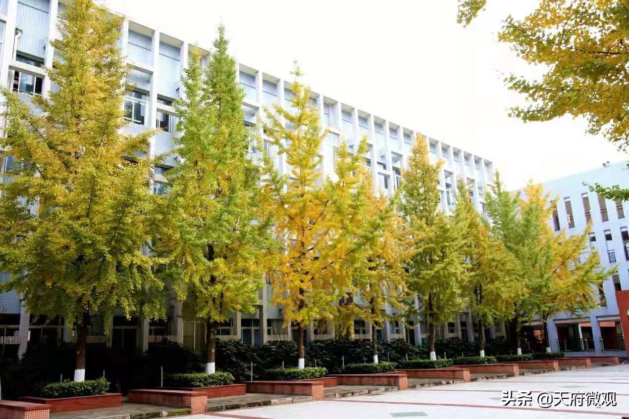 办特色学校·创卓越高中，来看新都香城中学的十年树木和芝兰玉树