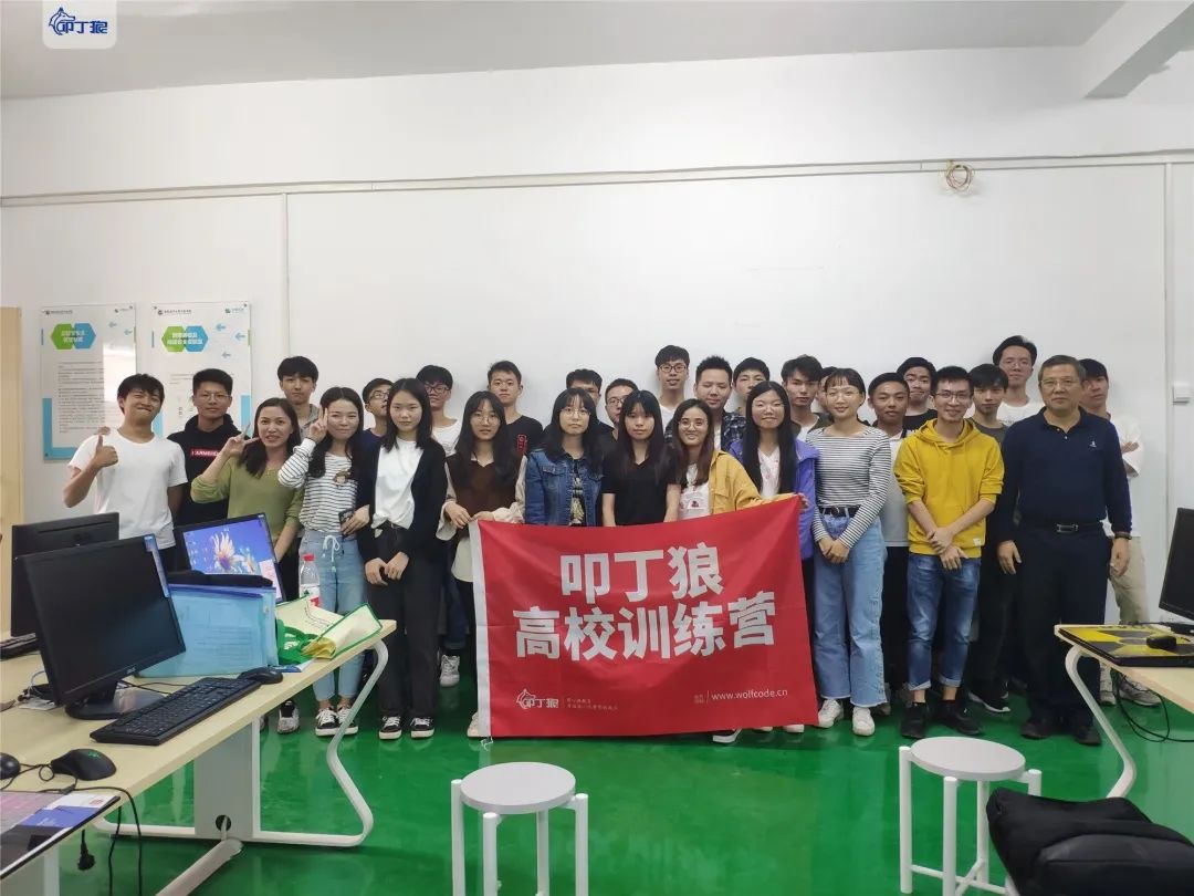 关于叩丁狼，你想知道的都在这里了！