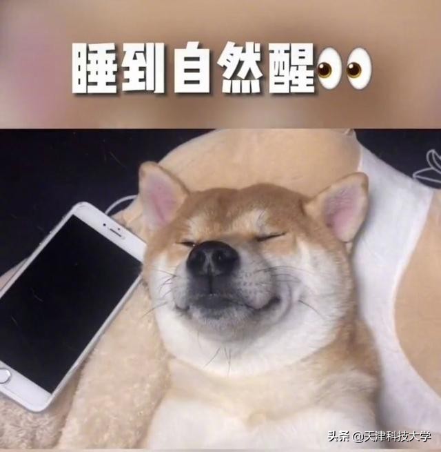 揭秘大学生的真实日常！