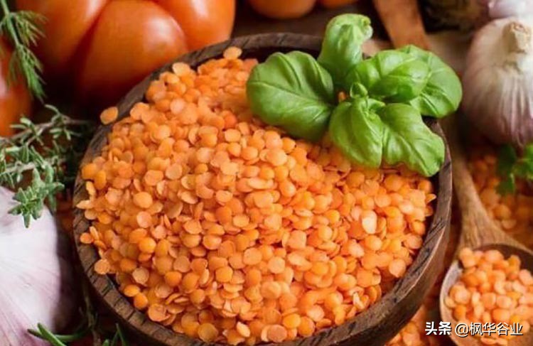 土耳其红扁豆（土耳其红扁豆的营养价值解析）