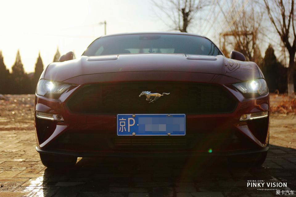圆了跑车梦，女司机宝石红mustang提车+用车分享，优缺点都有