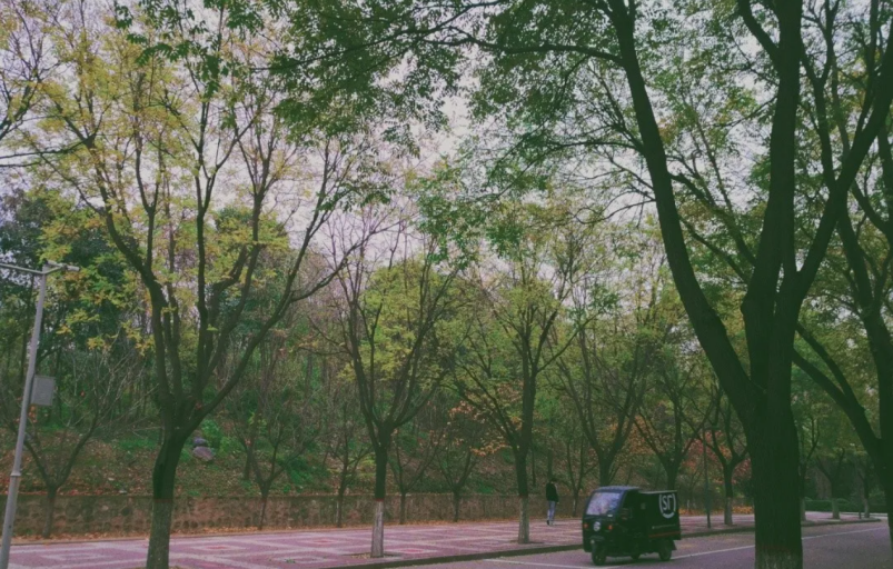 神仙颜值！惊艳众人！陕西高校“最美校花”高清大图曝光