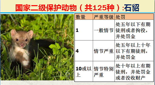 二级保护动物（国家最新125类二级野生保护名录）