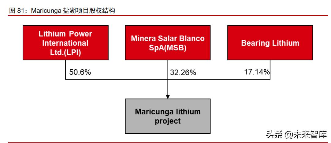 有色金属锂行业深度报告：阿根廷，下一轮盐湖锂资源开发的焦点