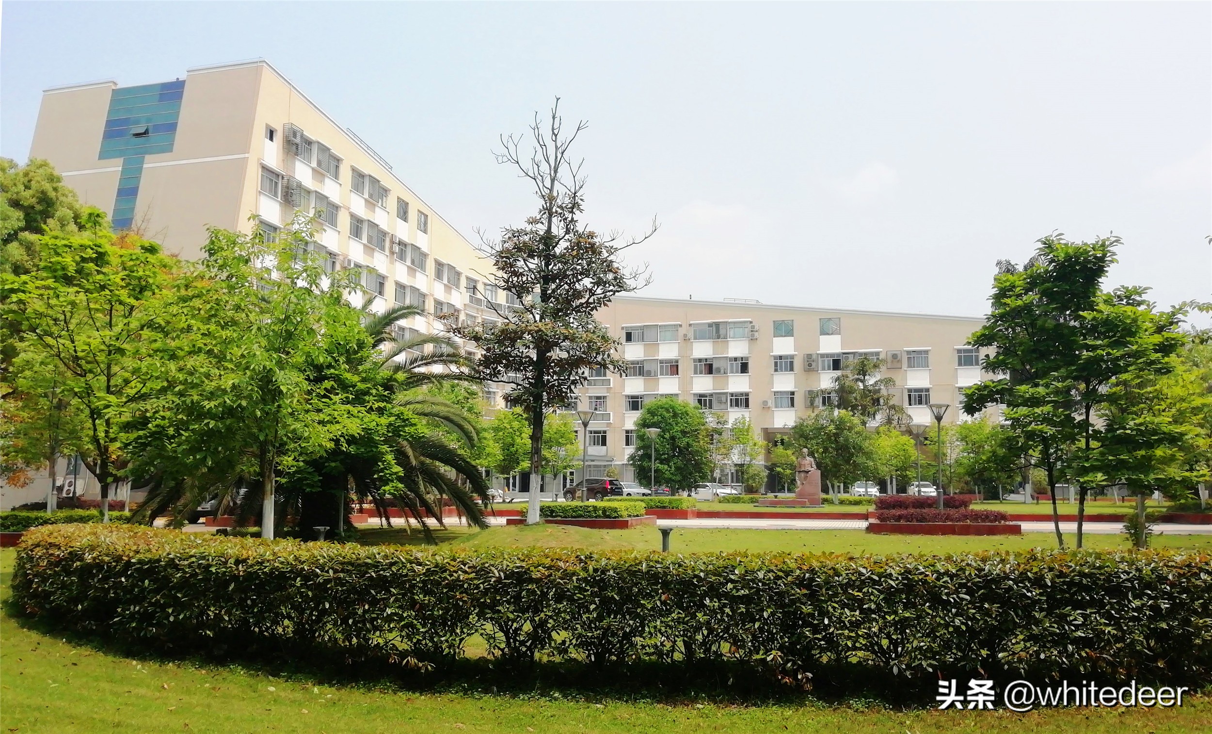 随拍 西南大学