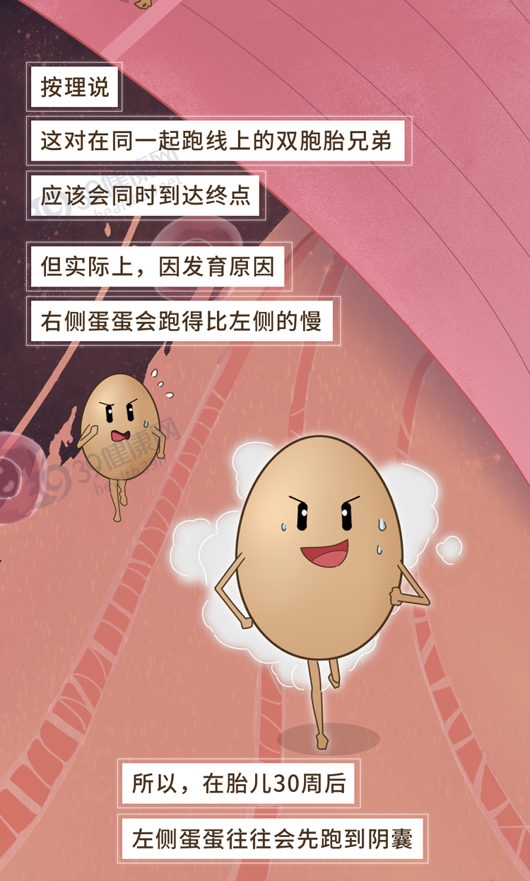 调查发现：80%男性的两侧睾丸高低、大小都不同，原因为何？