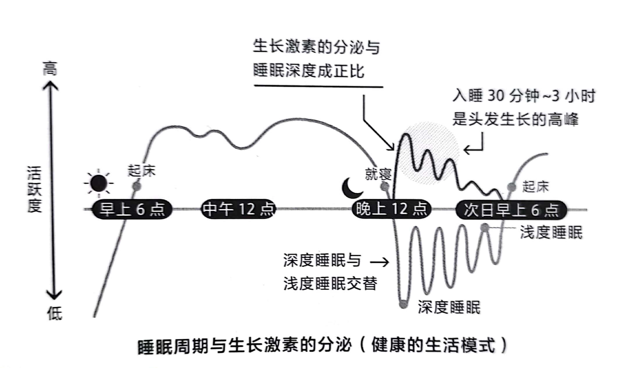 爸爸，为什么你没有头发？我这叫聪明绝顶