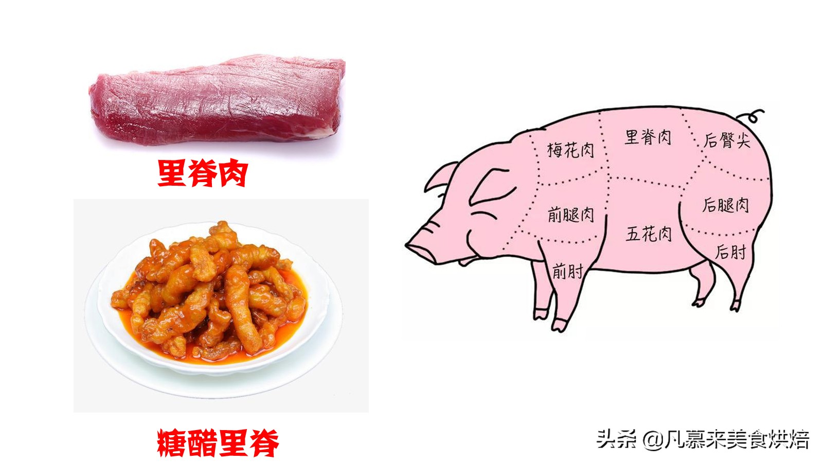 猪肉各部位图解与介绍,终于会选肉了