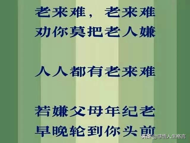不孝到头终有报，劝君莫把老人嫌