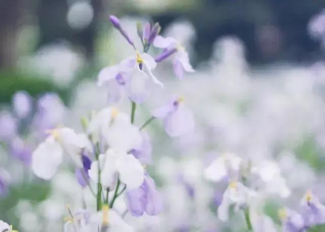 北京科技大学 理工 2016-2018录取分数线