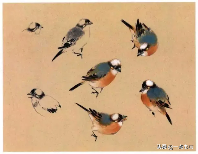 一学就会画——小写意禽鸟画法