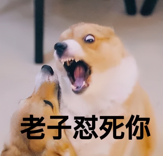 srds是什么意思啊（网络热词缩写含义解析）