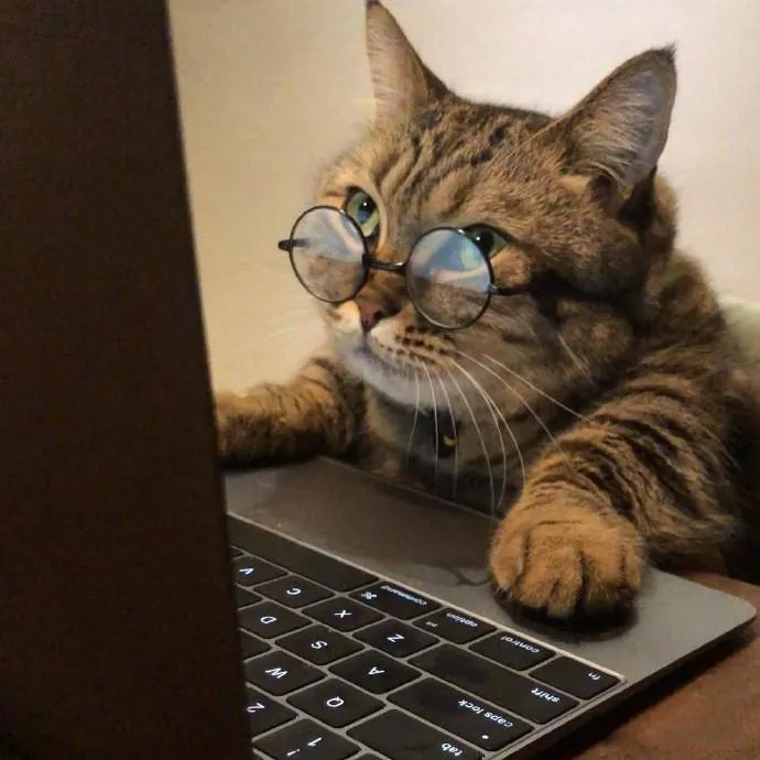 猫咪突然拉肚子了，该怎么办？