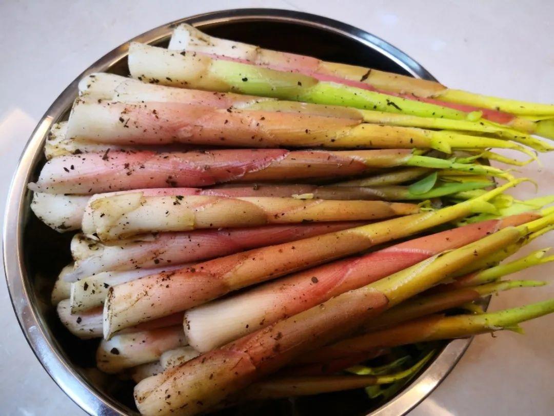 野菜的种类都有哪些（66种野菜辨别图快去尝尝）