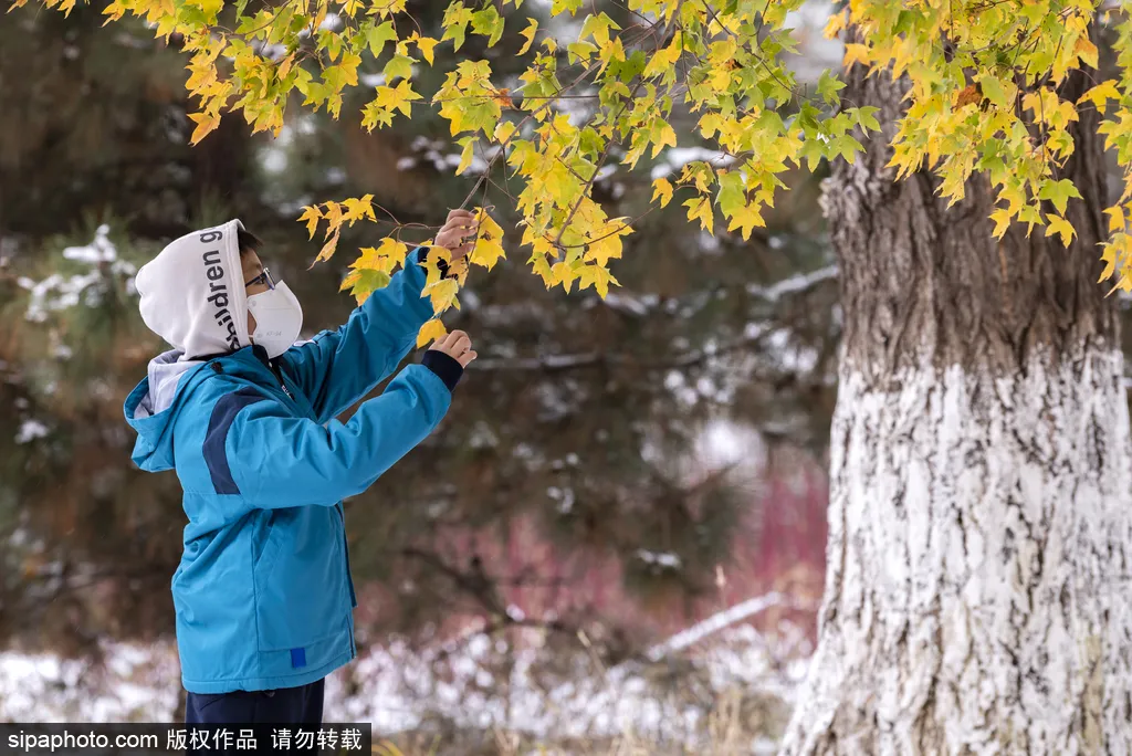 节气小雪丨天寒地冻，北京这里桃花却开了！（文末有福利）