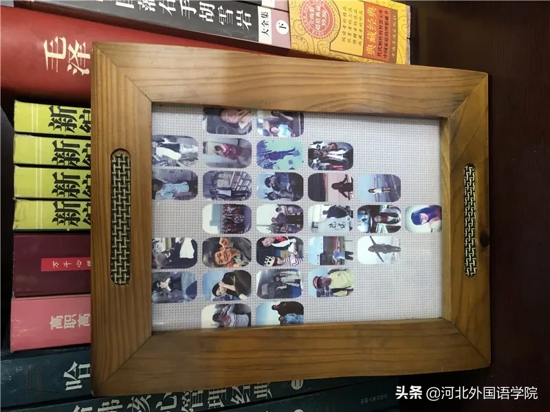 这所河北高校，开设了75个语种