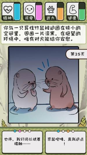 「评测」《竹鼠：活下去》这个家伙不老实，不如拿来煲汤吧
