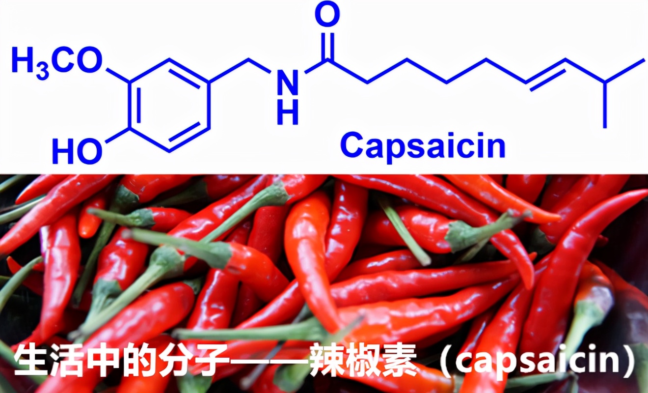 牛奶解辣吗（原来牛奶就是传说中的万能药）