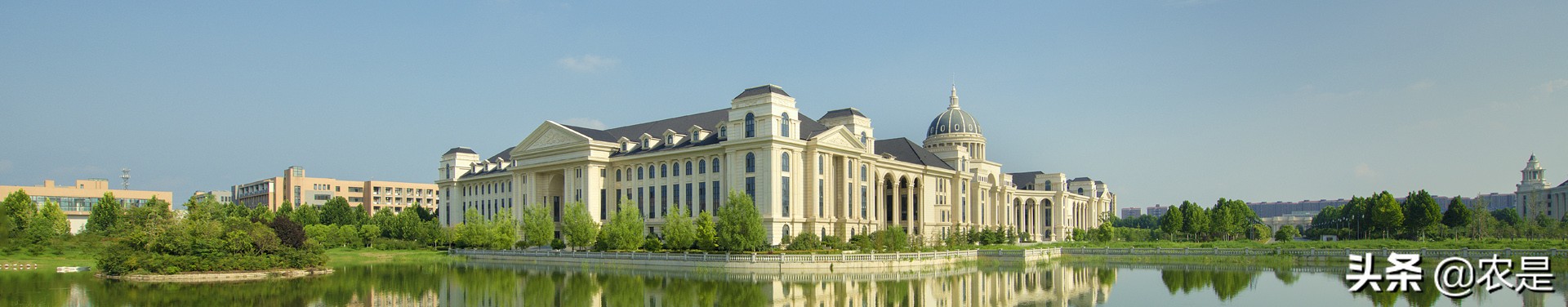 王志祥，河南农业大学，教授，动物营养与饲料专家