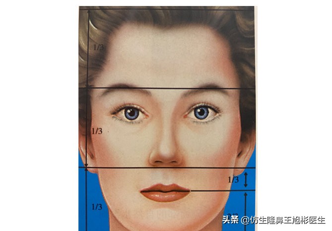 如何定义短鼻，短鼻延长后的改变有多大？