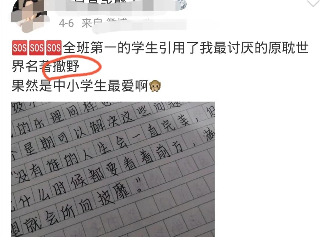这个素材，写作文慎用