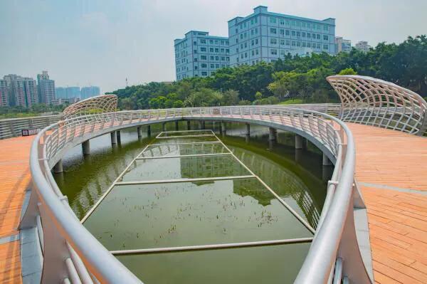 深圳十大免费特色的湖泊公园