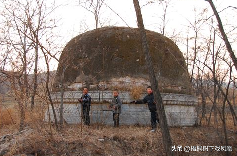 坟上长树意味着什么图片（坟头上长树代表什么）-第5张图片-华展网