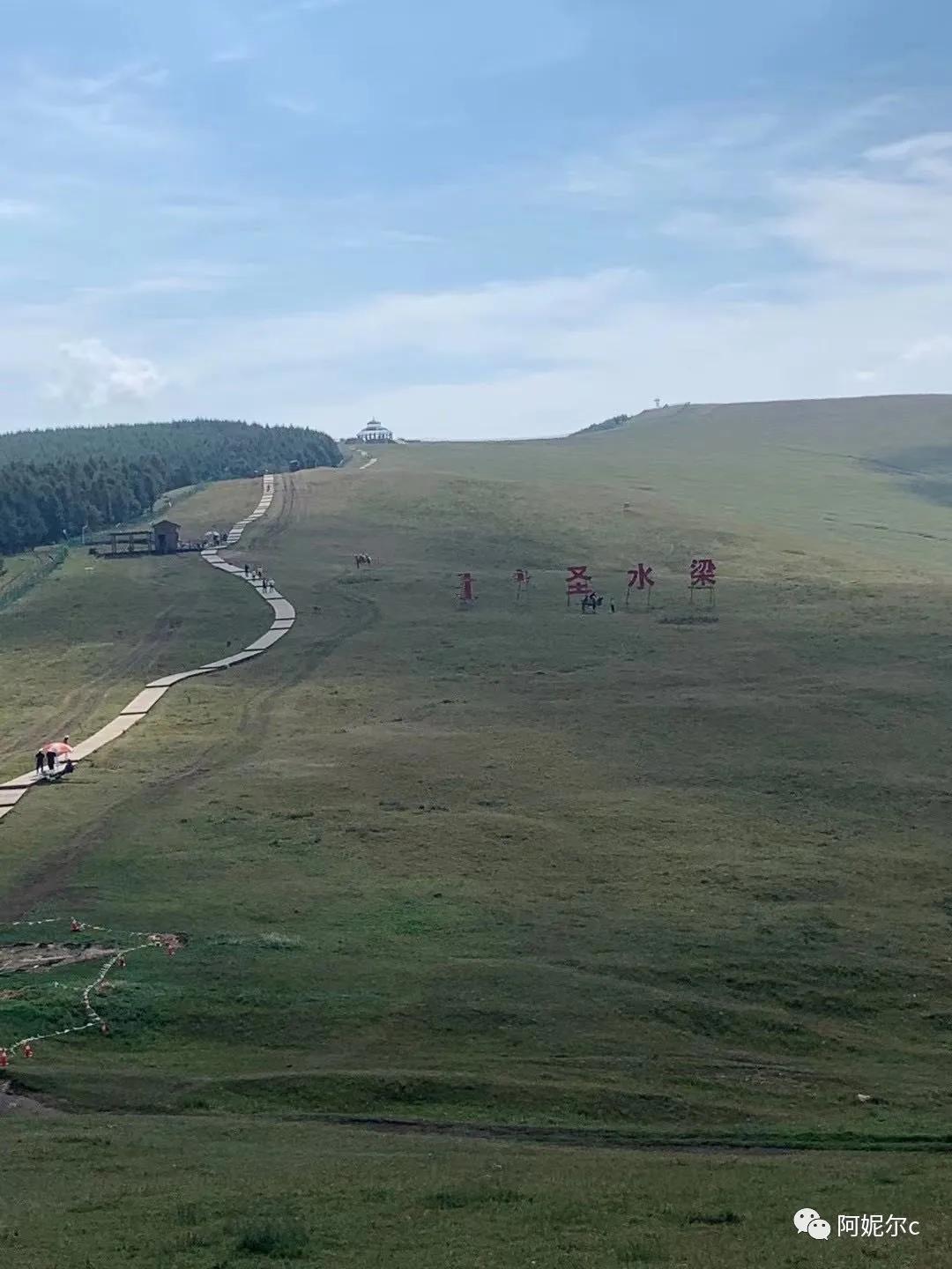 秋天到了，树叶变黄，风一吹就飘落，大地像铺了金毯。