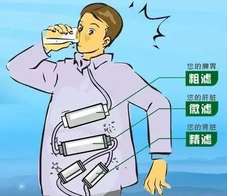 不要买净水壶!买了你会后悔!