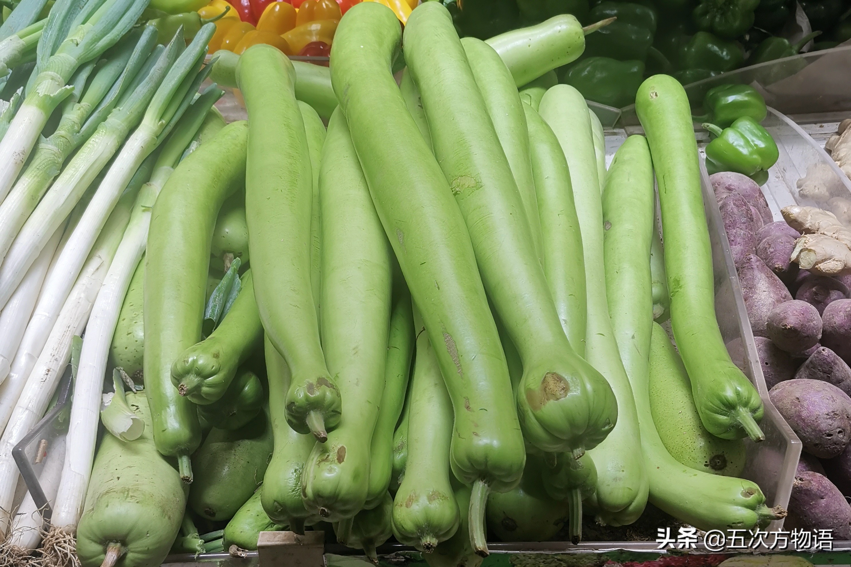 伊麗莎白瓜的營養(yǎng)價值,伊麗莎白瓜的營養(yǎng)價值及功效與作用