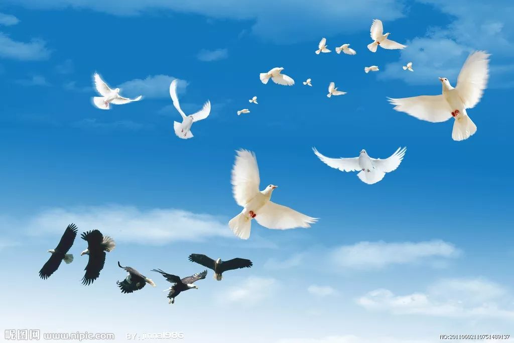 泰戈尔：世界上最遥远的距离