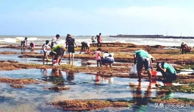 洛阳到日照旅游——青岛日照黄岛金沙滩，498三日游