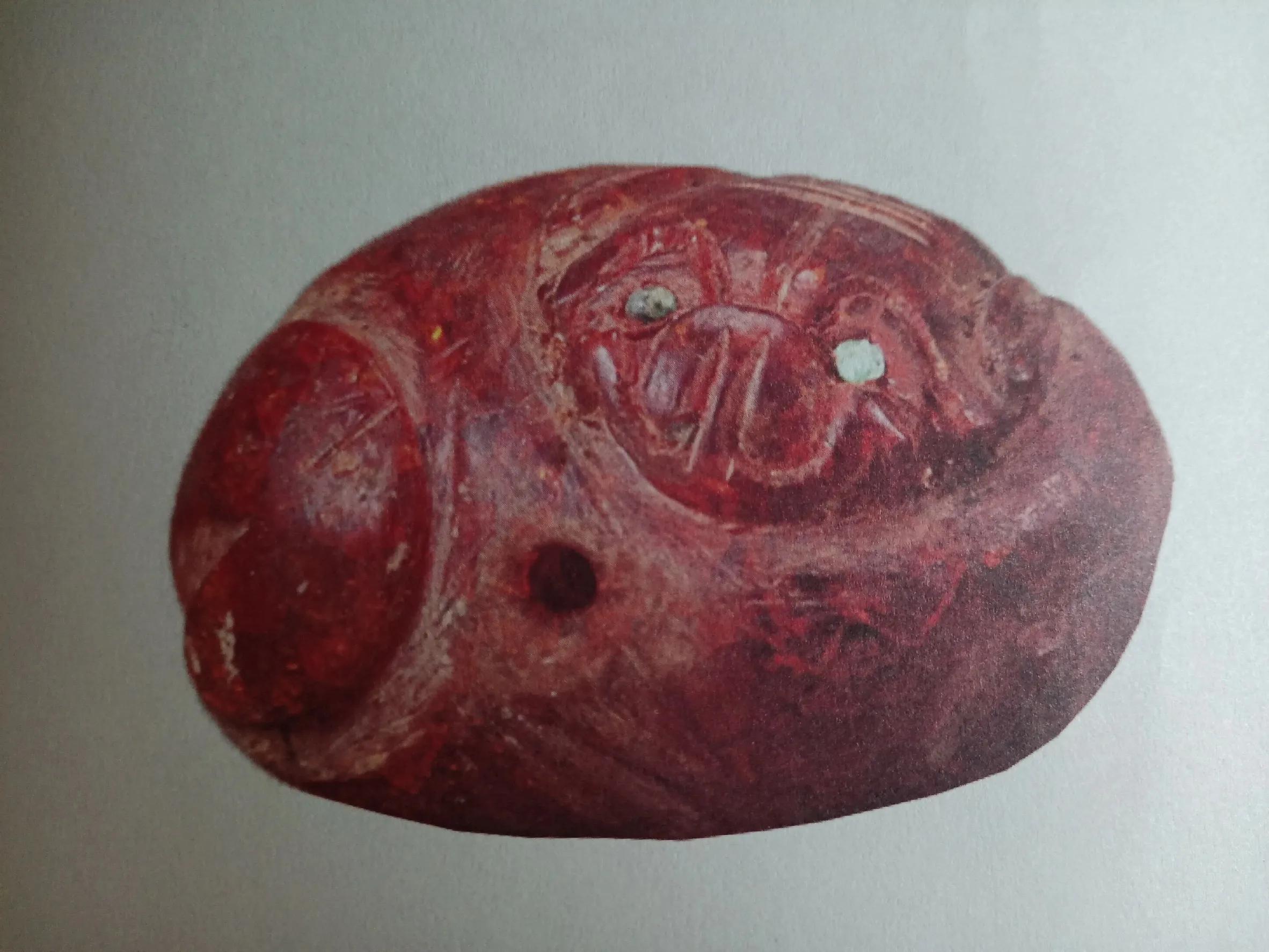 豬在什么時代被廣泛養殖,豬在什么時代被廣泛養殖的
