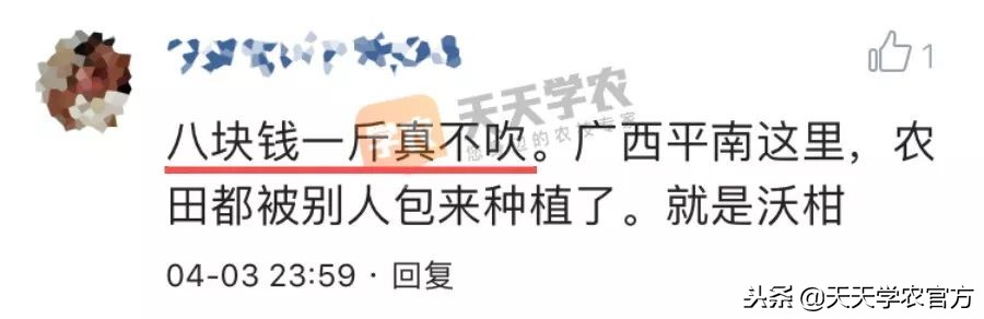 金秋砂糖桔尾货卖6块，都说今年柑橘市场不好，沃柑还能8块一斤？