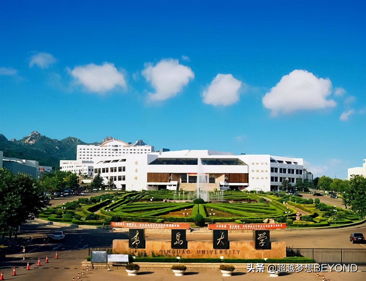 青岛大学2020年山东省本科各批次分专业录取分数统计（含排位）