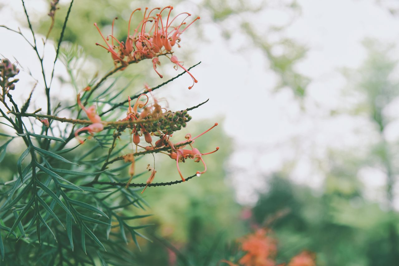 高中成语大全及解释（父母可以为孩子收藏，每天给孩子说几个）