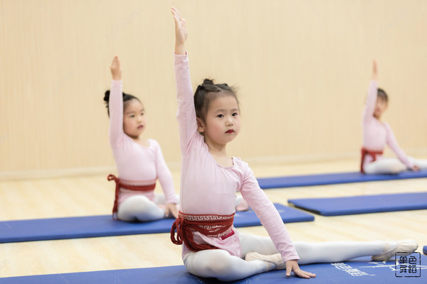 小孩考级考舞协还是北舞？北舞好还是舞协好